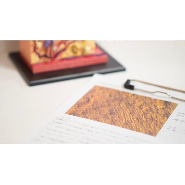 肌質分析結果をもとにパーソナルケアをご案内90分