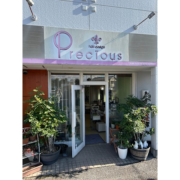 hair-design Precious