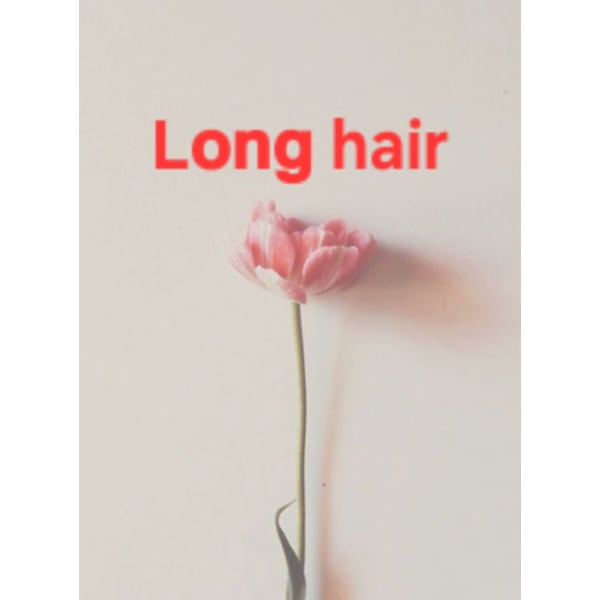 ロングヘアーの方はこちらを追加メニューでお選びください