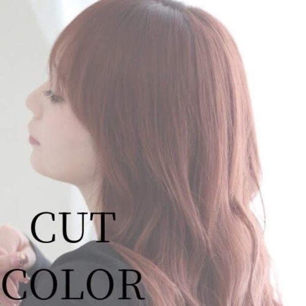 【カラー】カット+カラー(全体染め)☆¥5900【仙台】