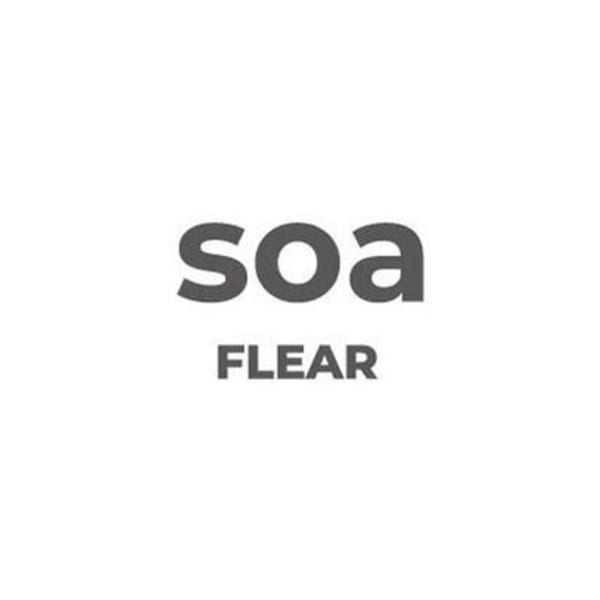 soa FLEAR 高濃度水素専門ノンダメージサロン（R）