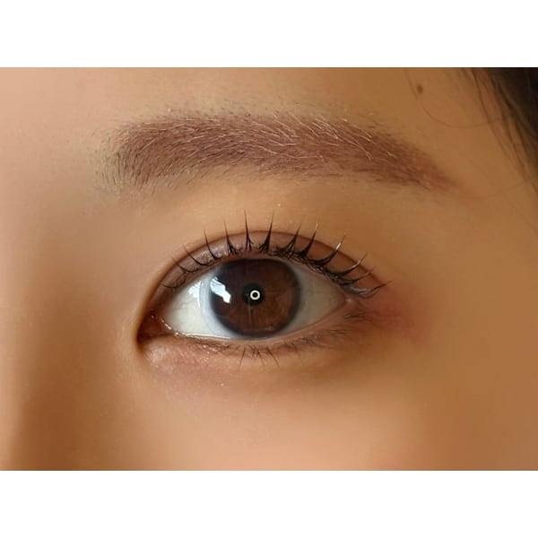 【新規】ラッシュリフト