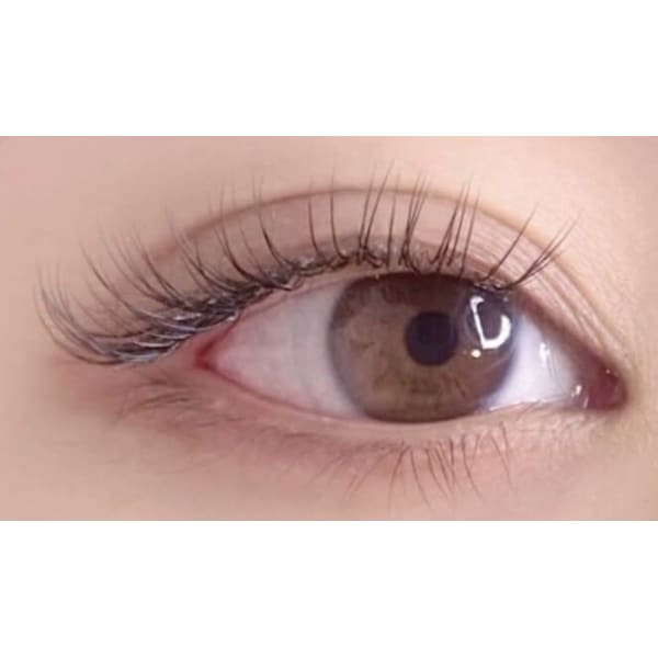 フラットラッシュ８０本