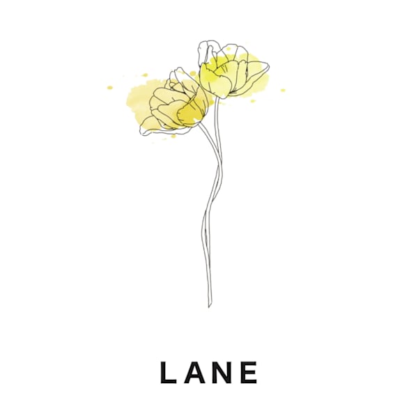 LANE