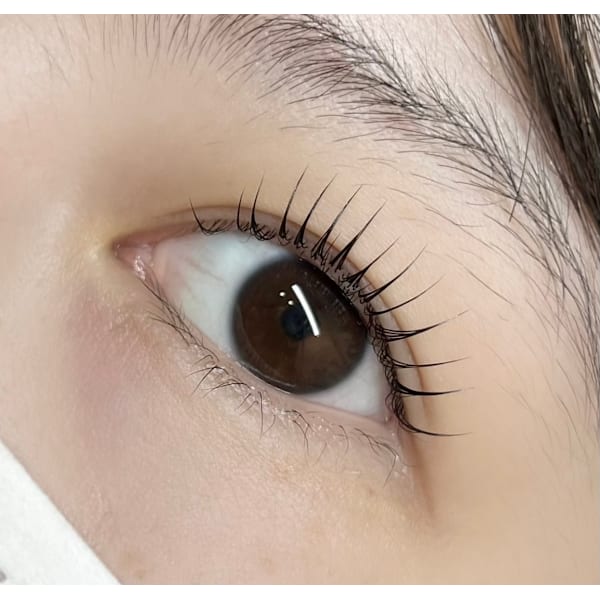 【新規】毛質改善☆選べるケラチンラッシュリフト ¥7,000→￥5,500