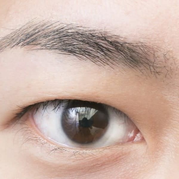 【眉毛】アイブロウワックス｜似合わせ美眉スタイリング♪