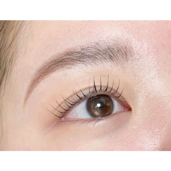 【セット】まつ毛パーマ🎀パリジェンヌ➕ハリウッドブロウリフト➕眉ワックス🩵