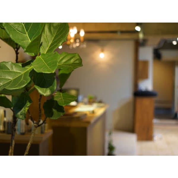 初夏の気分に合わせて♪お薦めカラー+カット+ケアトリートメントSB込¥10400~