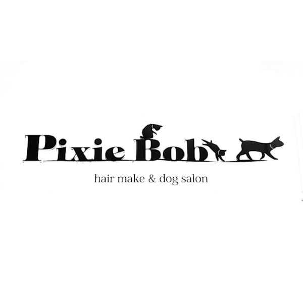 Pixie Bob