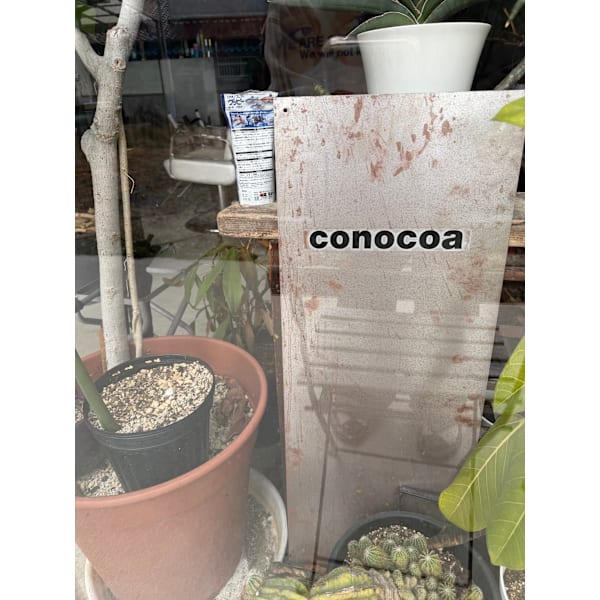 conocoa