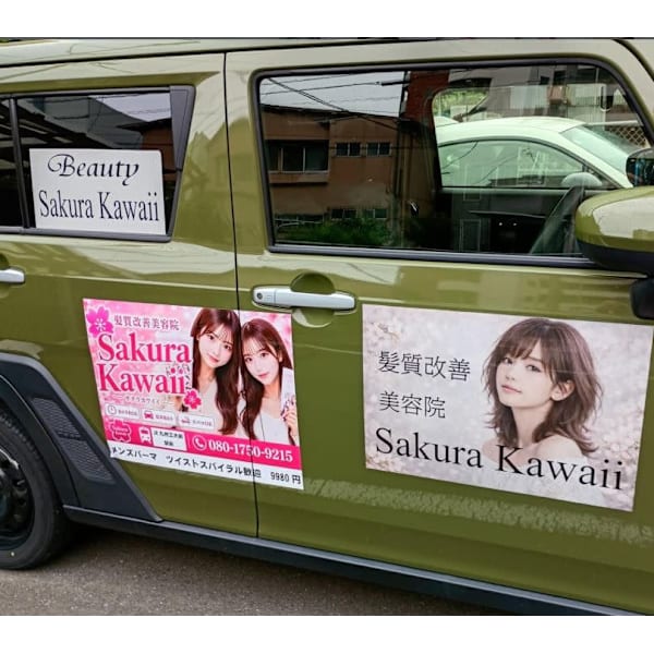 sakura kawaii
