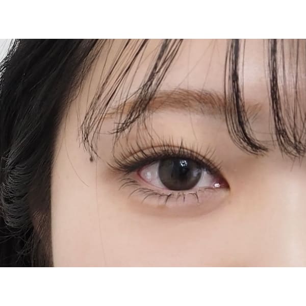 【ご新規様限定】フラットラッシュ120本