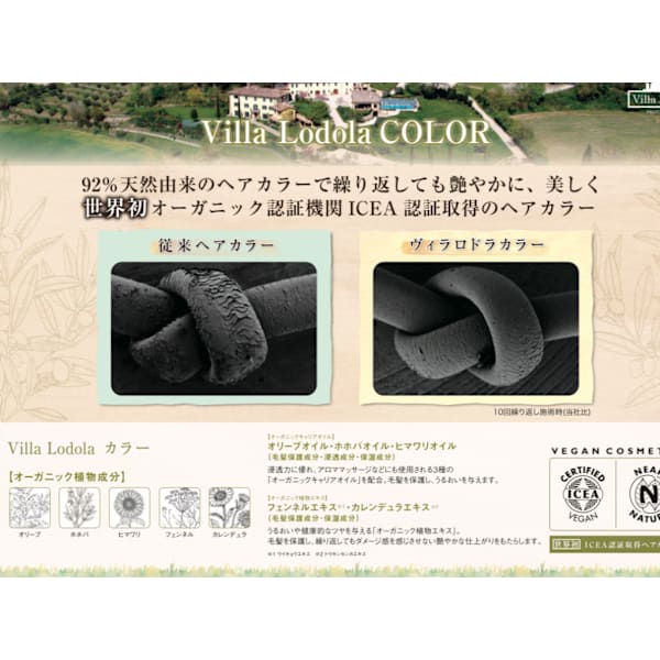 世界初オーガニック機関認定ヴィラロドラカラー(白髪染めも可)+カット¥8,000
