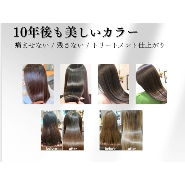 【白髪染めの化学物質を除去する!】デットクスカラースタンダードコース!