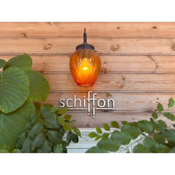 schiffon hair lounge