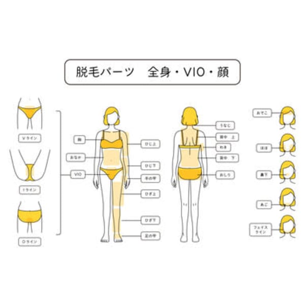 口コミ専用（9月末迄限定）【半額キャッシュバック中】