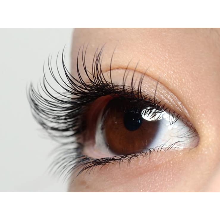 都内に４店舗展開している有名まつげエクステサロン Venus Lash ヴィーナスラッシュ 新宿店 ヴィーナスラッシュ のこだわり特集 ネイル まつげサロンを予約するなら楽天ビューティ