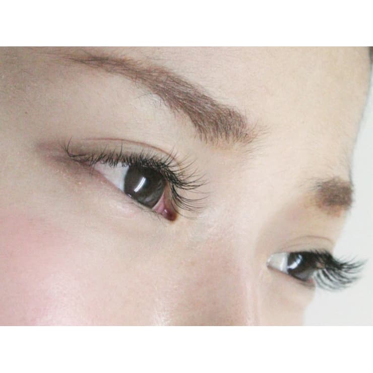 高いリピート率 オトナ女性の上品eye まつげ1本にエクステ2本w装着 エアリーボリュームエクステ ミニョン アイラッシュデザインサロン金剛店 ミニョンアイラッシュデザインサロンコンゴウテン のこだわり特集 ネイル まつげサロンを予約するなら楽天ビューティ
