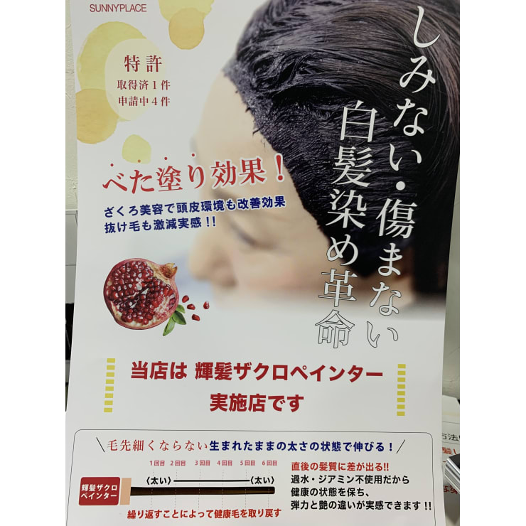 売れ筋・人気アイテム 商品 宮内俊介☆田山花袋書誌☆定価36000円｜文学・小説 文学・小説