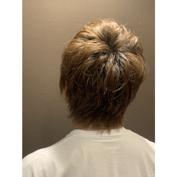ミディアムマッシュウルフ 六本木 メンズカット 麻布 港区 ヒロ銀座ヘアーサロン 麻布乃木坂 六本木駅前店 ヒロギンザヘアーサロンアザブノギザカロッポンギエキマエテン のヘアスタイル 美容院 美容室を予約するなら楽天ビューティ