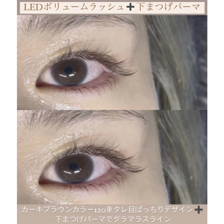 ピンキーロットロット まつげ まつ毛 カール パーマ プロ用 当店だけの限定モデル まつ毛 ピンキーロットロット まつげ まつ毛 カール パーマ プロ用 当店だけの限定モデル まつ毛
