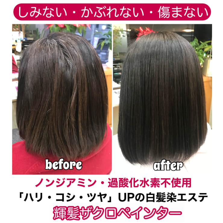 白髪染めをしながら“髪＆頭皮”をケア『輝髪ザクロペインター