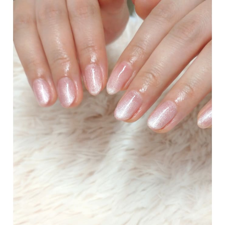 ※10/1～値上‘ailana.nail様 マグネットネイル10本/パラジェル | nail&eye LinNe(ネイル