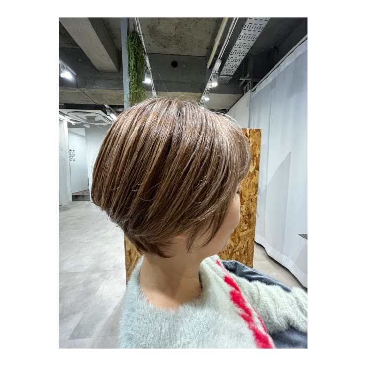 柳まとめて出品。白髪 白髪多い人向け 白髪ぼかしハイラト 脱白髪染め40代50代60代