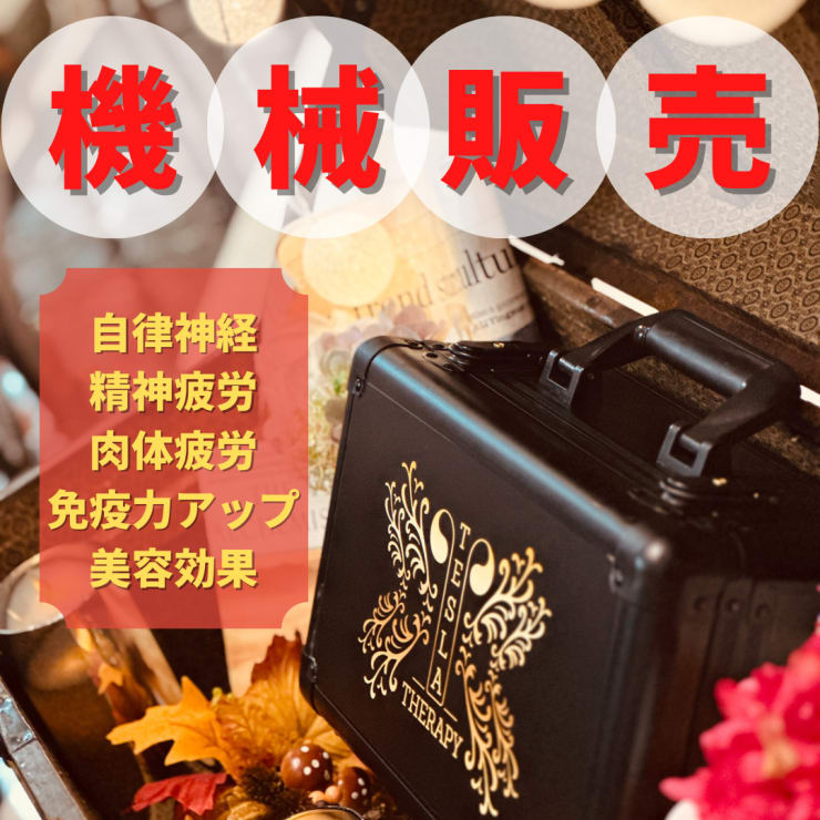 ★テスラセラピー【エナジーテラピー・ハンドセラピー】微弱電流・生体電流 美品 ☆テスラセラピー【エナジーテラピー・ハンドセラピー】微弱電流