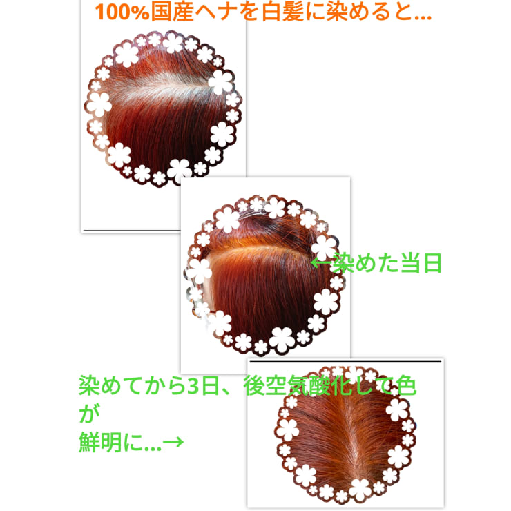 安心安全天然100%ヘナでキレイな艶髪を！ これからのオーガニック
