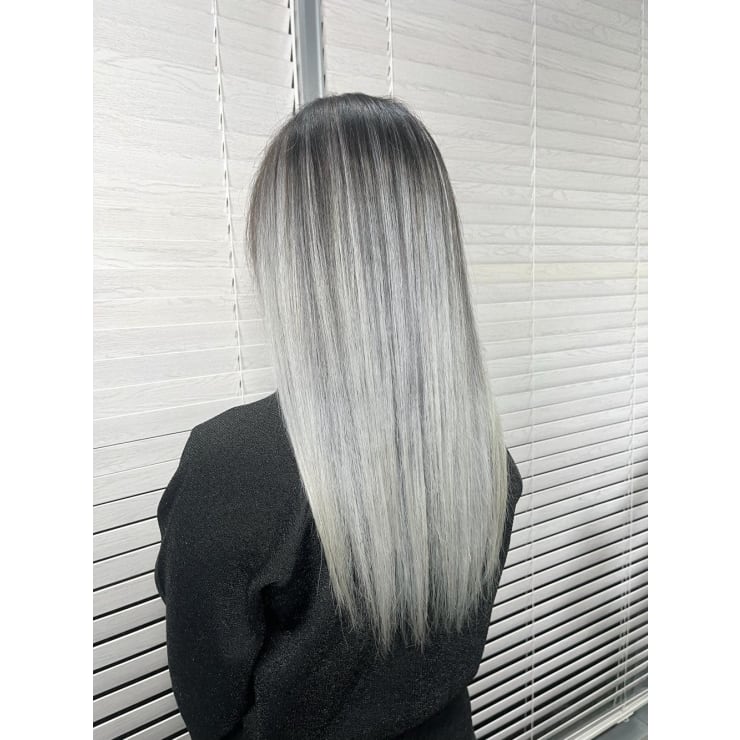 ハイライト バレイヤージュ デザインカラー シルバーカラー | ARCANA