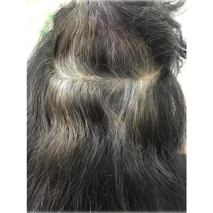 ザクロペインター 輝髪 ザクロペインター ナチュラルブラック A 240gの卸・通販