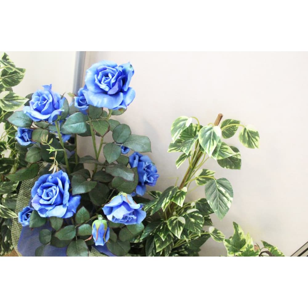 HAPPY-COCO NAIL 画像