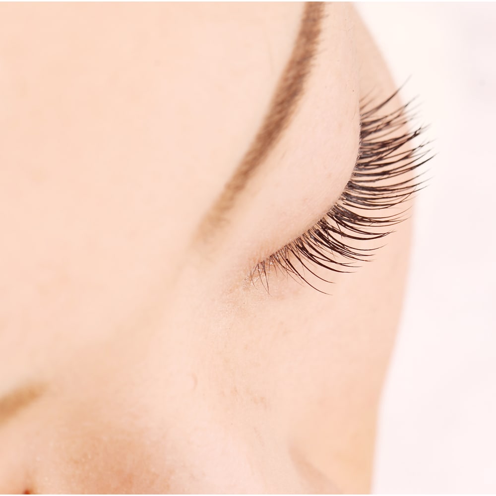 an’ envY [m] 画像