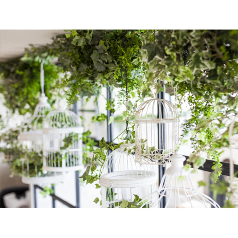 Ar de vivre 諸江 画像