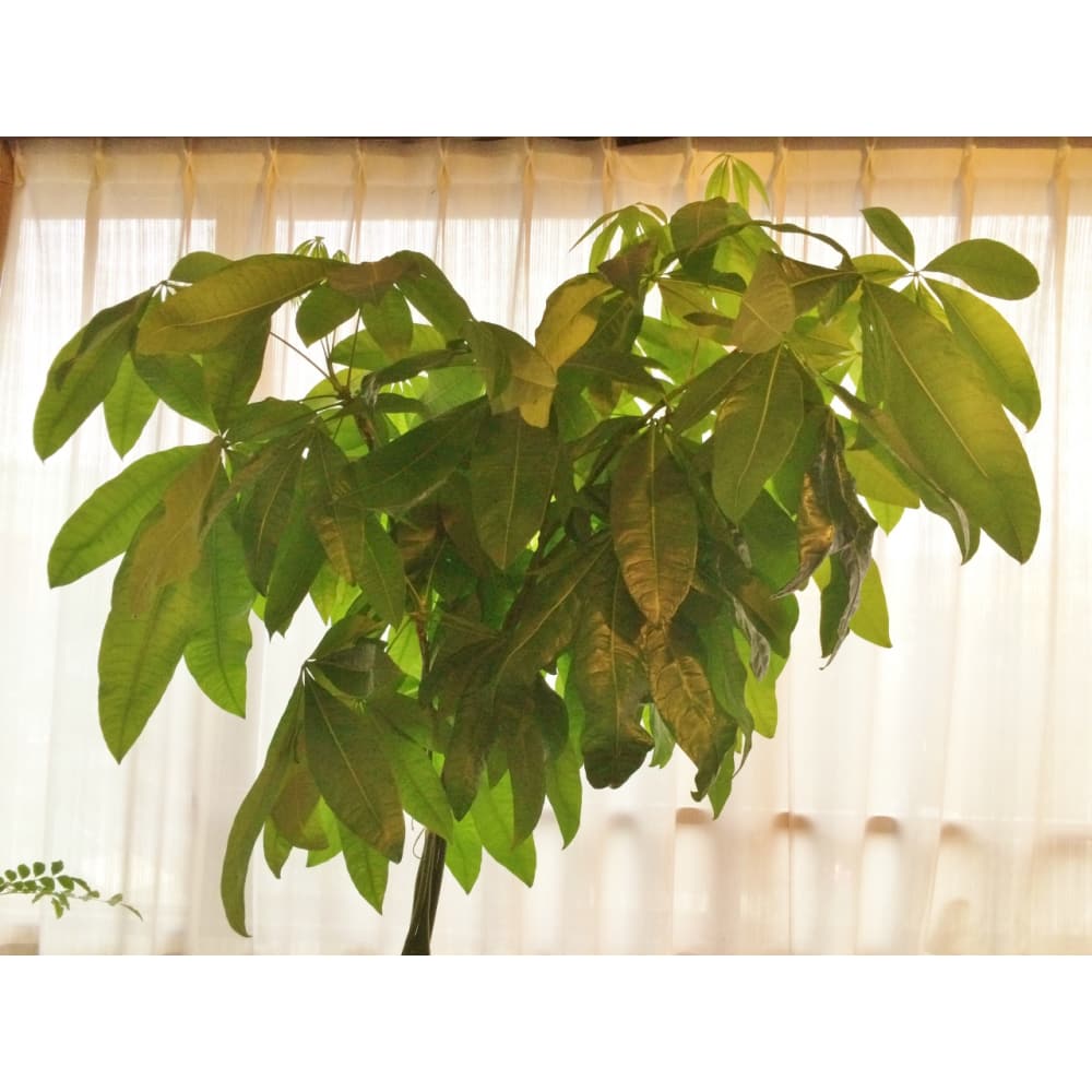 ポアレスサロン Fil ポアレスサロン フィル の予約 サロン情報 リラク マッサージサロンを予約するなら楽天ビューティ