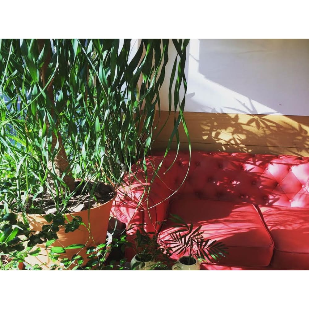 aggraziata sosta ソスタ 画像2