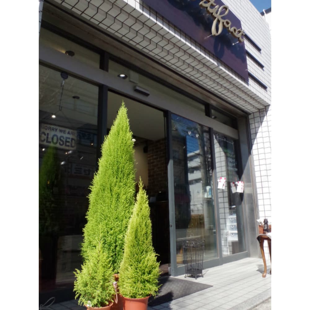 Artifact 青葉台店 アーティファクトアオバダイテン の予約 サロン情報 美容院 美容室を予約するなら楽天ビューティ