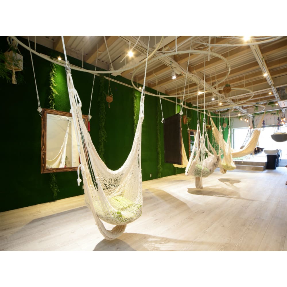 Hammock Hair Salon Cocona ハンモックヘアーサロンココナ の予約 サロン情報 美容院 美容室を予約するなら楽天ビューティ Hammock Hair Salon Cocona ハンモックヘアーサロンココナ の予約 サロン情報 美容院 美容室を予約するなら楽天ビューティ