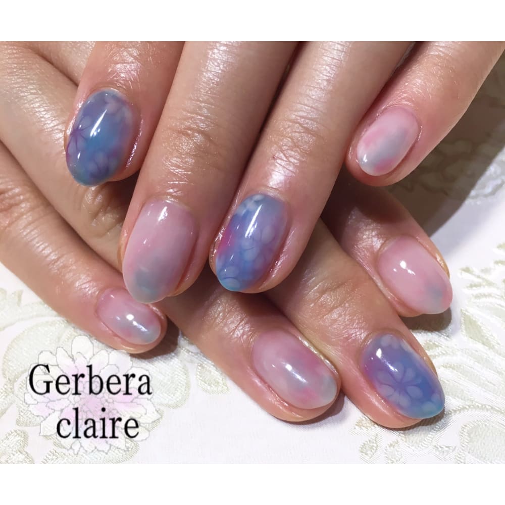 Gerbera claire 画像