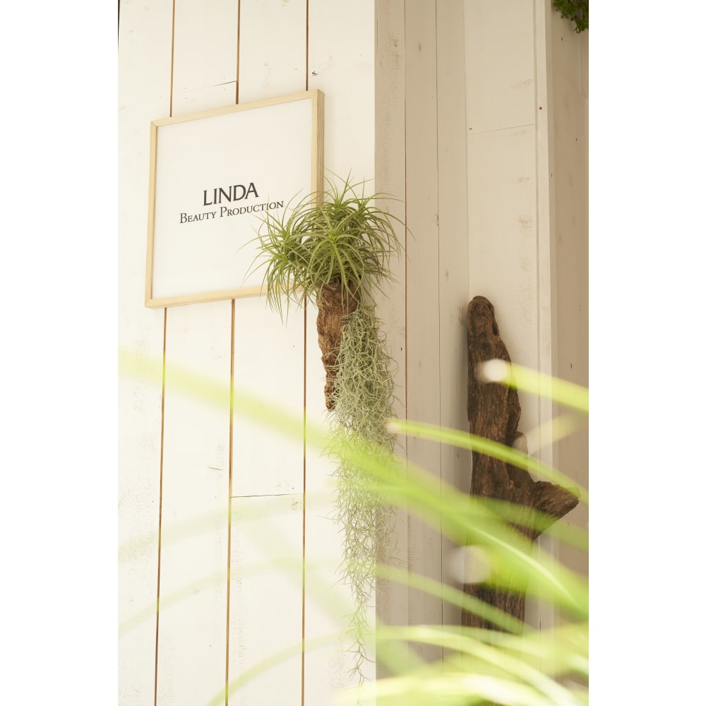 Linda トータルビューティーサロン リンダ トータルビューティーサロン の予約 サロン情報 美容院 美容室を予約するなら楽天ビューティ