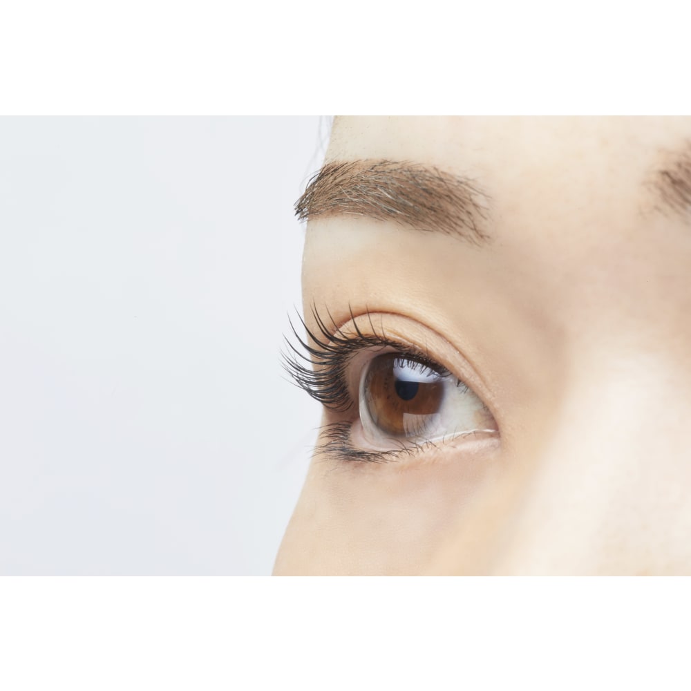 Procare Eyelash 中野マルイ店 プロケアアイラッシュナカノマルイテン の予約 サロン情報 ネイル まつげサロンを予約するなら楽天ビューティ