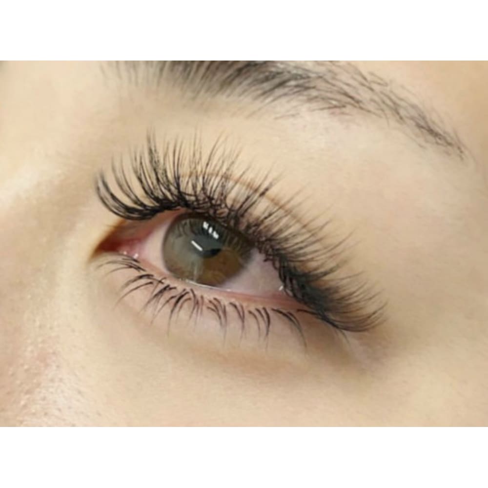 Butterfly 茅ヶ崎店 画像2