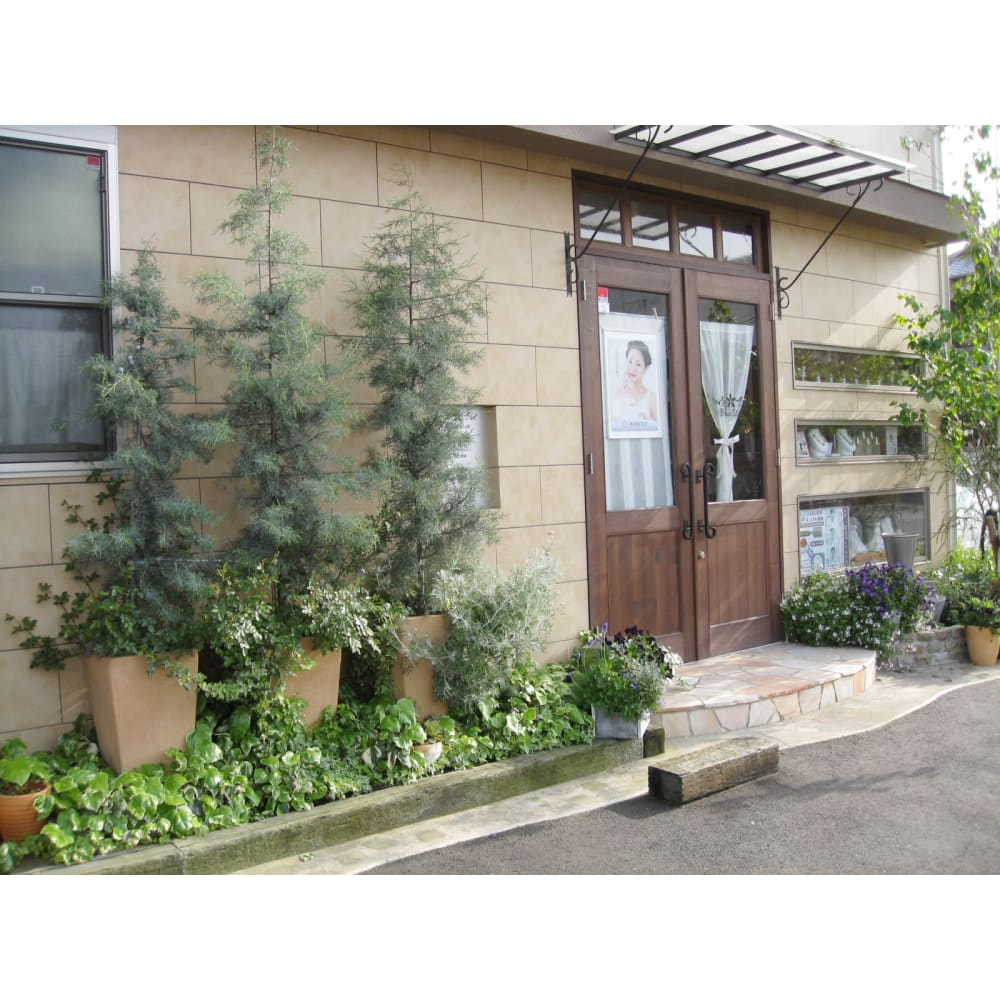 Blue Star ブルースター の予約 サロン情報 エステサロンを予約するなら楽天ビューティ