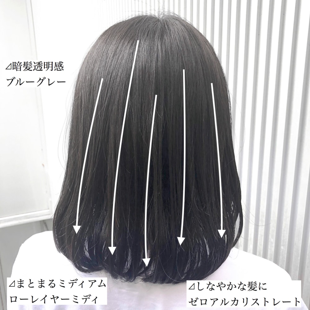 暗髪透明感のまとまるストレートミディ Vicca 南青山店 ヴィッカミナミアオヤマテン のヘアスタイル 美容院 美容室を予約するなら楽天ビューティ