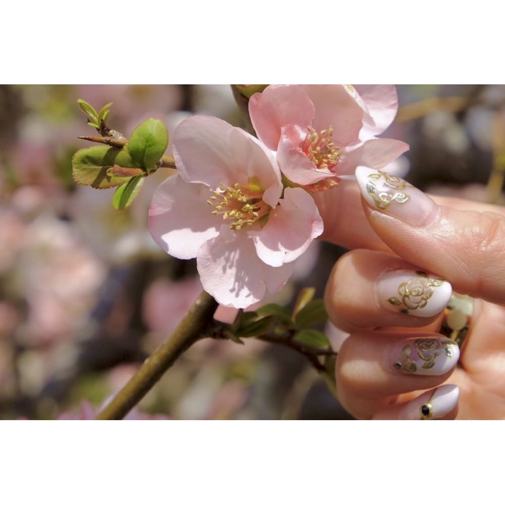 Coffret à bijoux 画像