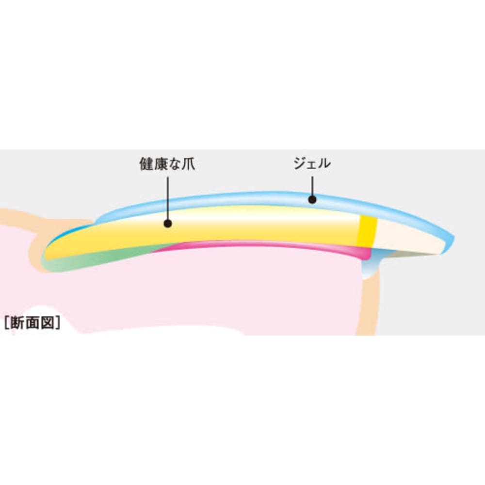 パラジェルってなあに 深爪専門ネイルサロンmeremer Petit 池袋店 フカツメセンモンネイルサロンメールメールプチイケブクロテン のこだわり特集 ネイル まつげサロンを予約するなら楽天ビューティ