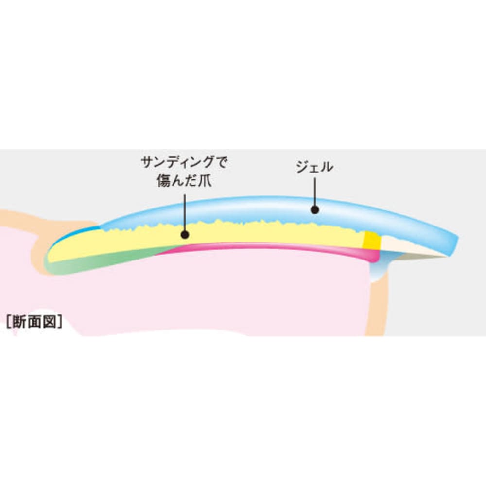 パラジェルってなあに 深爪専門ネイルサロンmeremer Petit 池袋店 フカツメセンモンネイルサロンメールメールプチイケブクロテン のこだわり特集 ネイル まつげサロンを予約するなら楽天ビューティ パラジェルってなあに 深爪専門ネイルサロンmeremer Petit 池袋店 フカツメセンモンネイルサロンメールメールプチイケブクロテン のこだわり特集 ネイル まつげサロンを予約するなら楽天ビューティ