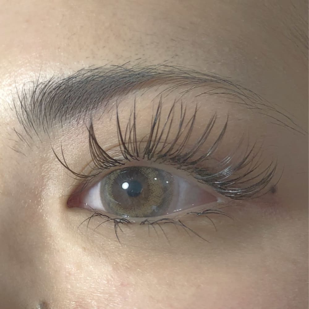 カラーエクステ ブラウン系 favori Eyelashsalon 溝の口店 ファヴォリ アイラッシュサロン のこだわり特集 ネイル まつげ サロンを予約するなら楽天ビューティ カラーエクステ ブラウン系 favori Eyelashsalon 溝の口店 ファヴォリ アイラッシュサロン のこだわり特集 ネイル まつげ サロンを予約するなら楽天ビューティ