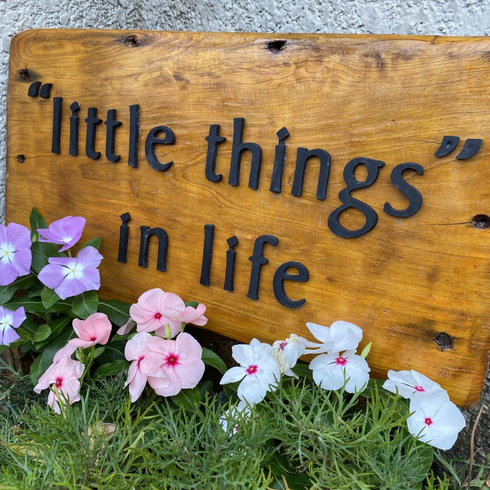 ‘‘little things’’ in life